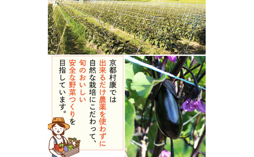【訳あり】旬の野菜詰め合わせ セット 4～5種類 野菜 旬 訳あり 訳アリ わけあり ワケアリ 野菜 旬 美味しい おいしい 箱詰め セット品 詰め合わせ 冷蔵 京田辺市 京都 京都村康