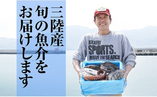 
【特選】三陸海の恵み詰め合わせ【12ヶ月定期便】(1回あたりのお届け目安：3人用) 【 無添加 鮮魚 三陸産 国産 天然 海鮮 お刺身 魚介 魚介類 詰め合わせ セット 鮮魚BOX ボックス お祝い 宴会 時短 便利 簡単 お手軽 】岩手 陸前高田市 産地直送
