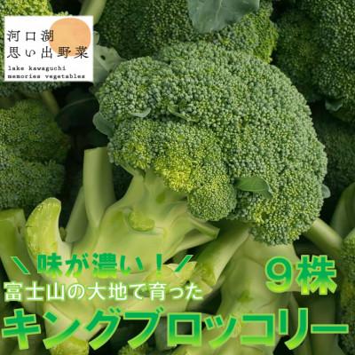 ふるさと納税 富士河口湖町 【2026年先行受付】でかっ!富士山の大地でゆっくり育った☆茎も食べれる「キングブロッコリー」 9株