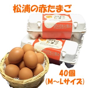 養鶏場直送!松浦の赤たまご(40個)【B1-152】