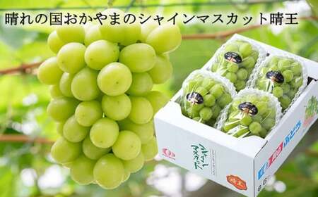 ご家庭用 シャインマスカット 晴王 3～6房 計約2kg 【2025年8月下旬～11月下旬迄発送】 ／ マスカット 葡萄 ぶどう 果物 果実 フルーツ 種なし 皮ごと 大粒 家庭用 岡山県 美咲町 冷