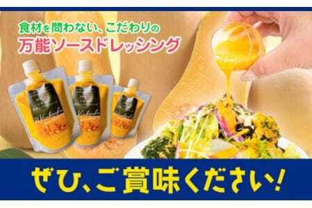 美馬のかぼちゃ濃厚ソースドレッシング 1本200g×3セット 《30日以内に出荷予定(土日祝除く)》Link Point SAIRAI ドレッシング かぼちゃ バターナッツかぼちゃ 食品添加物不使用 