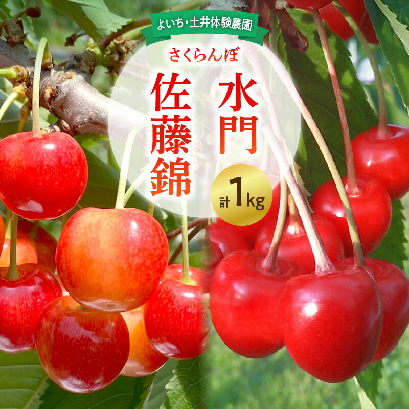 【ふるさと納税】【先行予約：2025年6月下旬以降発送】さくらんぼ【佐藤錦・水門セット】1kg
