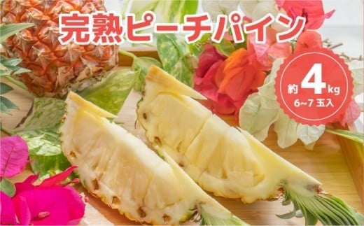 ☆新感覚の味わい☆桃のような芳醇な香りのする　『西表島産完熟ピーチパイン』 約4kg（6〜7個入）
