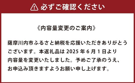 CS-301 桂竹 竹刀「ふるさと」（牙突ver）39竹刀 Ｗ吟柄仕組 剣道 タイヨー産業