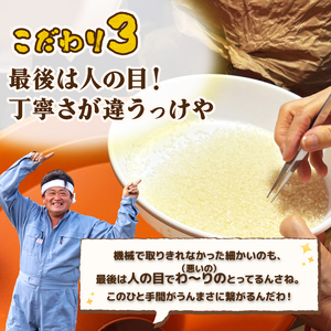 コシヒカリ 5kg 令和7年産コシヒカリ 12月 特別栽培米 新潟 プレミアム 