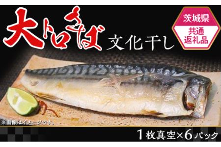 茨城限定 極上干物 大トロさば文化干し【 大トロ さば 鯖 文化干し サバ パック 干物 おかず 便利 魚 焼き魚 】【茨城県共通返礼品/神栖市】