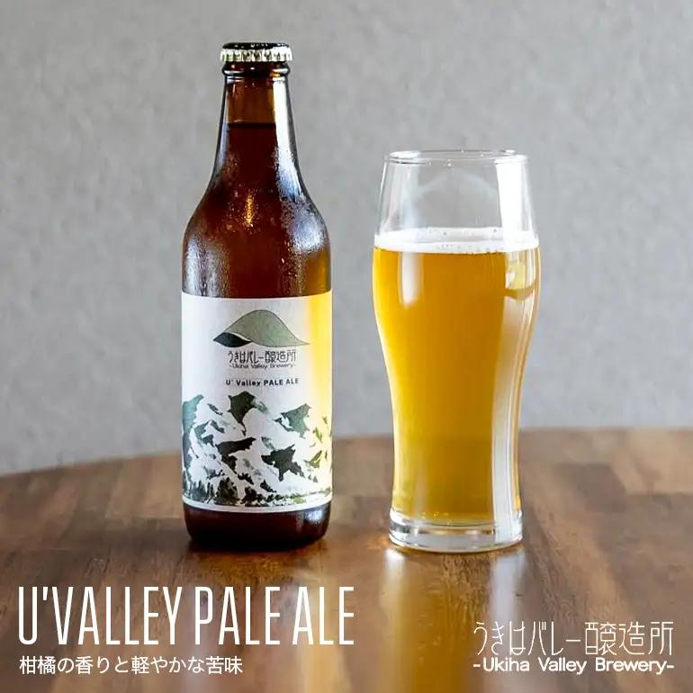 【ふるさと納税】クラフトビール 飲み比べ 4種 8本セット 地ビール ビール 瓶ビール お酒 ギフト 詰め合わせ プレゼント 家飲み お祝い お祝い返し 開店祝い 退職祝い 新築祝い おすすめ 国産 