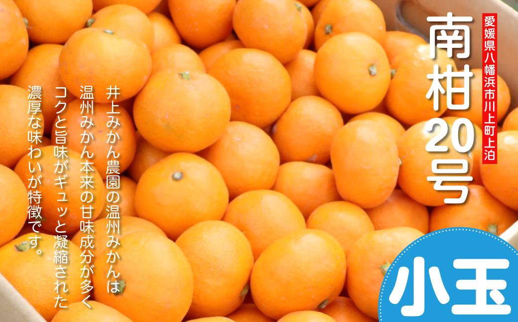 えがおみかん （南柑20号） 5kg みかん 蜜柑 ミカン くだもの 果物 フルーツ 愛媛県 温州みかん  （562-1）