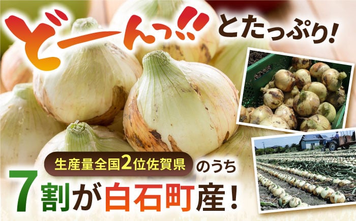 白石産たまねぎ 約10kg