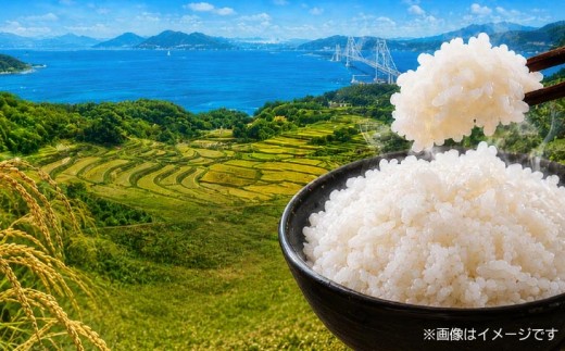 令和8年産米　淡路島産コシヒカリ　白米10㎏