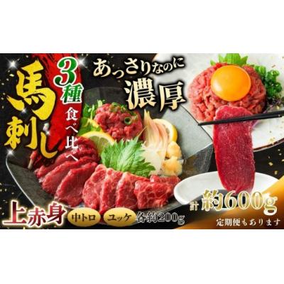 ふるさと納税 伊那市 馬刺し 3種食べ比べ約600g( 上赤身 ・ 霜降り・ユッケ 各約200g )【017-29】