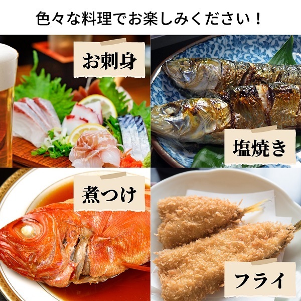 えっこ船長にお任せ！獲れたて鮮魚セット 3～5種類 約3kg（鮮魚 詰合せ ボックス）_イメージ5