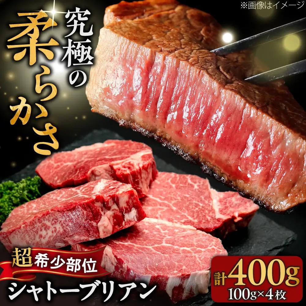博多和牛 シャトーブリアン 100g×4枚 （計400g）[BGBY034] シャトーブリアン ステーキ