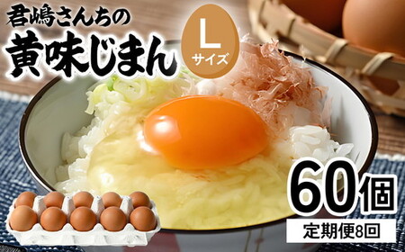 【8か月定期便】君嶋養鶏園のたまご Lサイズ 60個（55個＋割れ補償5個）×8ヶ月 計480個 | 定期便 8ヶ月 8か月 8ヵ月 卵 玉子 たまご 赤卵 赤たまご 生卵 国産 濃厚 鶏卵 コク 旨味