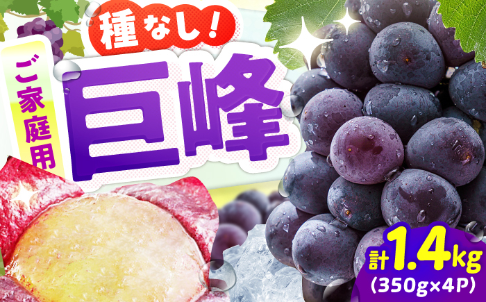 
                  【★先行予約★ 2026年7月下旬以降発送】【ご家庭用】種無し巨峰 約350g×4パック 果物 くだもの ぶどう ブドウ 葡萄 budou fruit ふるーつ フルーツ 種なし たねなし きょほう 甘い 家庭用 果実 デザート でざーと ふるうつ ジューシー ぶどう ブドウ 葡萄 訳アリ 訳あり わけあり ワケアリ 広川町 / JAふくおか八女農産物直売所どろや [AFAB086]
                