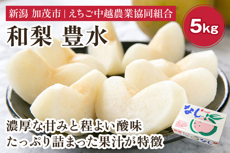 
                  【2026年先行予約】「天果糖逸（てんかとういつ）」 新潟県産和梨 豊水 約5kg（9～14玉）《9月上旬〜配送予定》 ほうすい 果物 フルーツ 冬の味覚 産地直送 加茂市 えちご中越農業協同組合
                