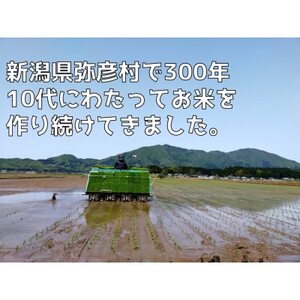 新潟県弥彦村石井農園　令和5年産コシヒカリ【玄米 5kg】【1508844】