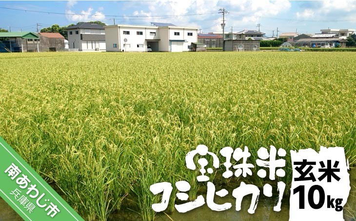 
                  宝珠米コシヒカリ　玄米10キロ
                