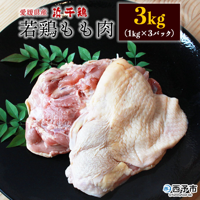 ＜銘柄鶏 浜千鶏 愛媛県産 若鶏もも肉 3kg（1kg×3）＞ 国産 鶏肉 鳥肉 とり チキン モモ肉 はまちどり ブロック 精肉 にく 料理 アレンジ 夕飯 夕食 お弁当 昼食 唐揚げ から揚げ 焼き鳥 マルハフーズ株式会社 愛媛県 西予市【冷凍】『1か月以内に順次出荷予定』