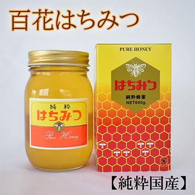 ふるさと納税 美浜町 【純粋国産】和歌山県産百花はちみつ約600g(美浜町)