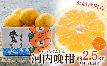 ＜愛媛県産 河内晩柑 約2.5kg（M～2L）＞ 柑橘 みかん フルーツ 和製グレープフルーツ ジューシー 初夏 旬 サイズ混合 西宇和 国産 さっぱり 甘い 農園オレンジとムラサキ 西予市【常温】『
