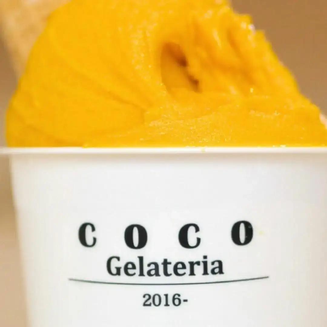 ジェラート国際大会優勝 マンゴーフロマージュブラン 大容量パック 1L×2個 Gelateria coco
