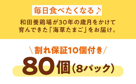 平飼い たまご（8パック）卵 80個[AGDQ003]