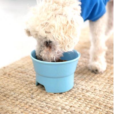 ふるさと納税 瑞浪市 美濃焼 陶器製ペット用プレーンフードボウル【丸高台フードボウル  (S/オレンジ)pet96】 |  | 01