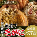 【ふるさと納税】【網走産】鮮度抜群！三特浜茹で毛がに 約670g×1尾 【 ふるさと納税 人気 おすすめ ランキング 毛がに 毛ガニ 茹で毛がに 網走産 濃厚 かに味噌 北海道 網走市 送料無料 】 ABW004