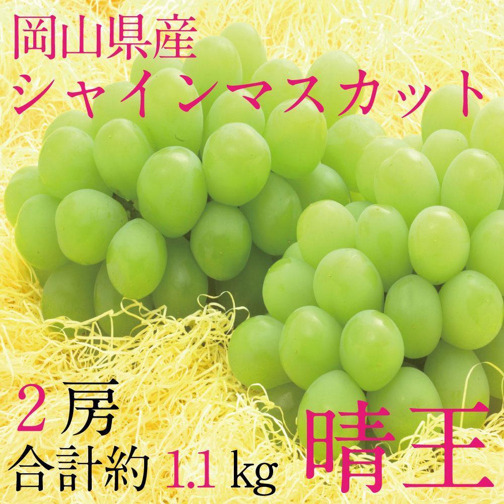 【ふるさと納税】[HS]ぶどう 2026年 9月・10月発送 シャイン マスカット 晴王 2房（合計約1.1kg） ブドウ 葡萄 岡山県産 国産 フルーツ 果物 ギフト | フルーツ 果物 くだもの 食品 人気 おすすめ 送料無料