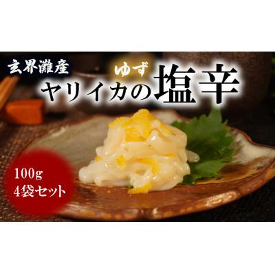 ふるさと納税 福津市 【玄界灘産】ヤリイカのゆず塩辛　食べきりサイズ　100g×4パック[F4466as]