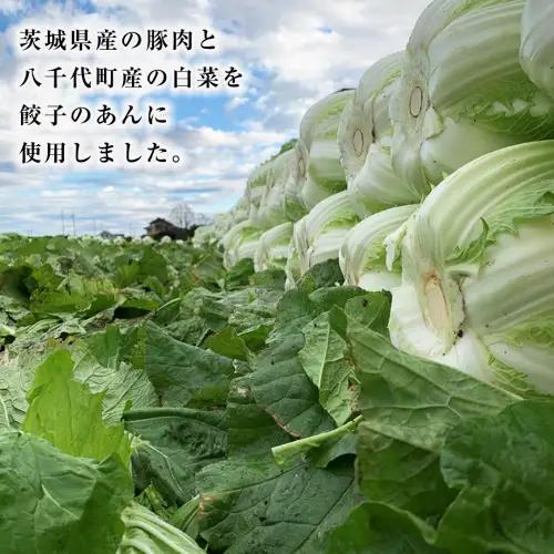 餃子 ローズポーク焼売40個 白菜餃子50個 セット 冷凍 餃子 餃子 餃子 餃子 餃子 餃子 餃子 餃子