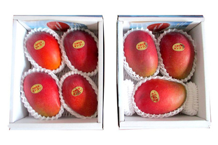 【2024年発送】高安マンゴー園　贈答用　F・Dマースマンゴー糸満　2kg　（3～5玉）