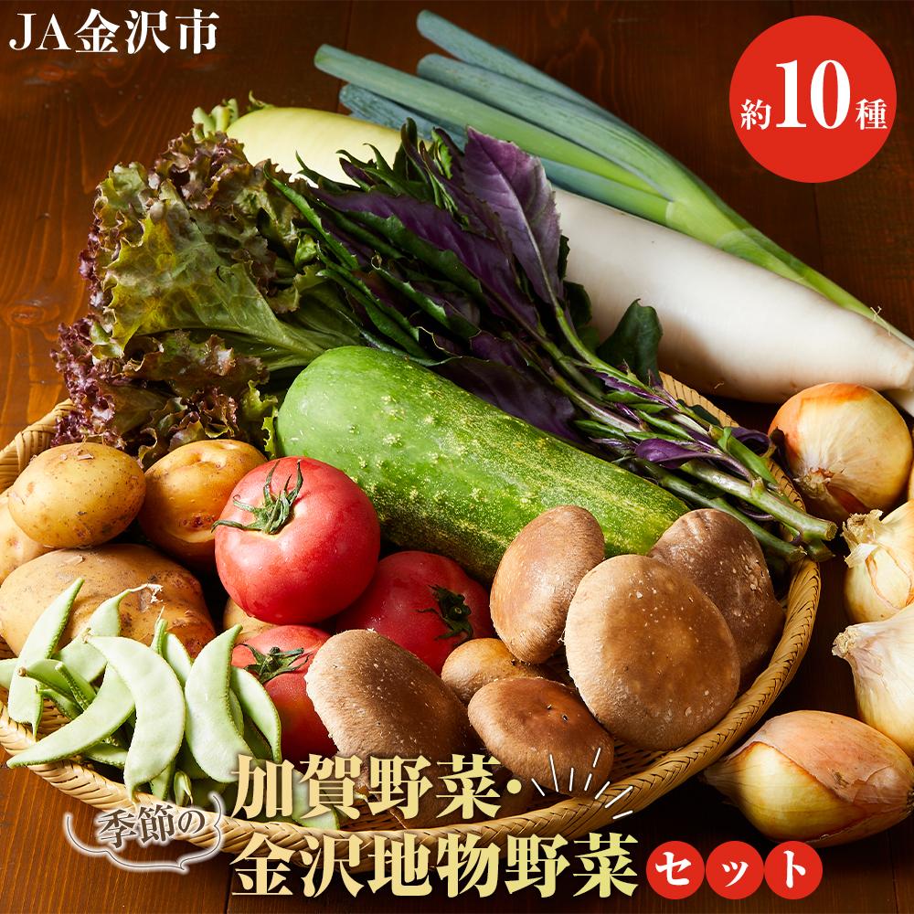 【ふるさと納税】★【数量限定】JA金沢市 季節の加賀野菜・金沢地物野菜セット | 野菜 やさい 百万石しいたけ 旬の金沢地物 野菜 生野菜 食材 食品 人気 おすすめ 送料無料 産地直送
