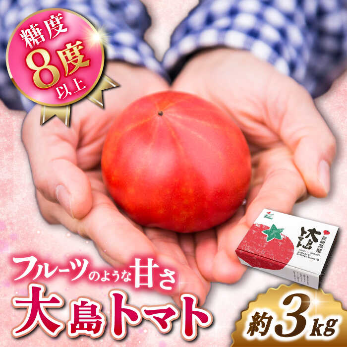 【ふるさと納税】【順次発送】【糖度8度以上！】 大島トマト 約3kg＜大島造船所農産G＞ [CCK005] とまと トマト フルーツトマト 野菜 人気 贈答 ギフト プレゼント 高糖度 甘い