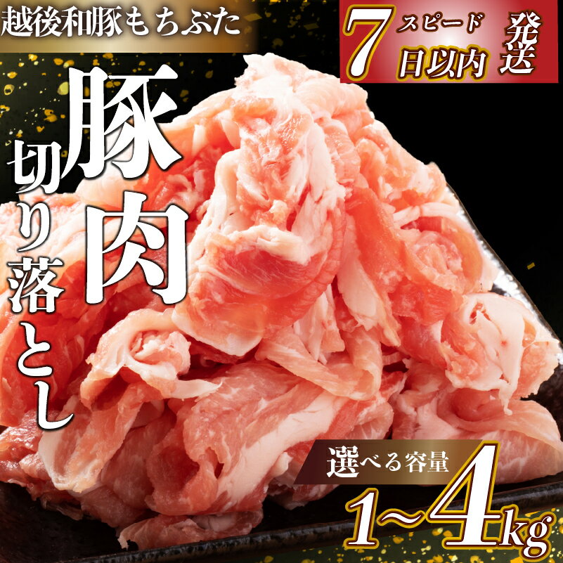 【ふるさと納税】 スピード配送！ 7日以内配送 豚肉 切り落とし 和豚 もちぶた 小間切れ 選べる 容量 1kg 1.6kg 3kg 4kg ブランド豚 和豚もちぶた ブランド 美味しい豚 豚肉 肉 にく 肉料理 夕食 晩ごはん ポーク おかず 小分け 便利 肉の片山 新潟県 新発田市 katayama003P
