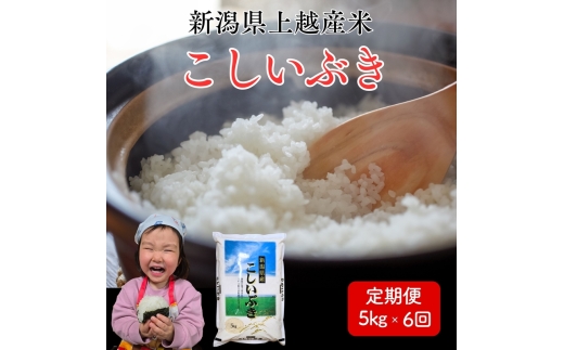 令和8年産　先行予約　上越市産こしいぶき　5kg×6回定期便　新米　精米　新潟　米　新潟県　こしいぶき　限定　定期便　おすすめ　米ヴィレッジさんわ