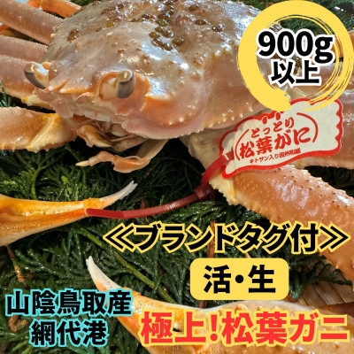
                  ＜さかなや新鮮組＞鳥取県産 ブランドタグ付き 活 極上松葉ガニ(900g以上) 1枚 漁港直送【1759412】
                