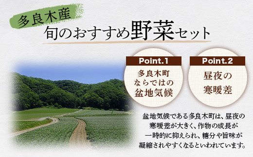 【6回定期便】野菜ソムリエ 監修 野菜で野菜を食べる  野菜セット  (1〜2名様向け)