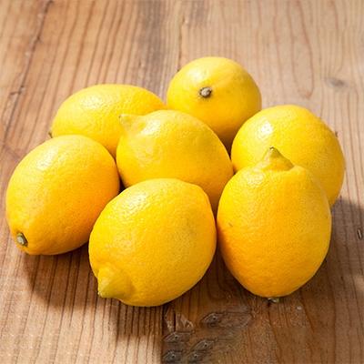 ふるさと納税 紀の川市 観音山レモン2kg