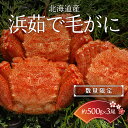 【ふるさと納税】【数量限定】＜北海道産＞浜茹で毛がに【約500g×3尾】（網走加工） 【 ふるさと納税 人気 おすすめ ランキング 毛蟹 毛ガニ 毛がに かに味噌 カニみそ 浜茹で 北海道 網走市 送料無料 】 ABC017