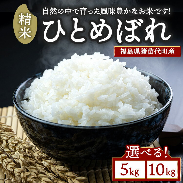 【ふるさと納税】＼選べる内容量／ 令和7年度産 ひとめぼれ 精米 5kg 10kg ｜ 白米 新米 福島 猪苗代町直送 ※離島への配送不可