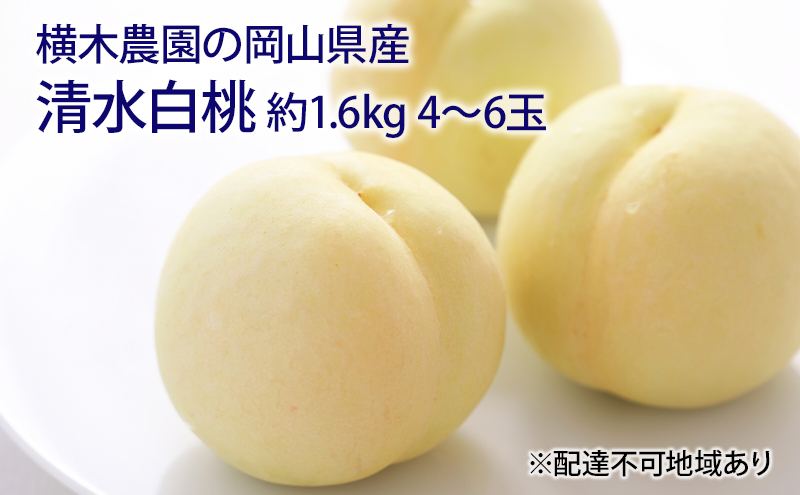 桃 2025年 先行予約 清水 白桃 約1.6kg 4～6玉 もも モモ 岡山県産 国産 フルーツ 果物 ギフト 横木農園