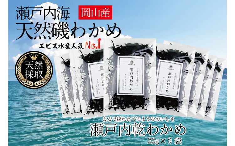 風味豊かな 瀬戸内 わかめ 22g×9袋 エビス水産【岡山 瀬戸内海 天然 カットわかめ】