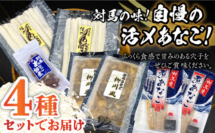 【全2回定期便】対馬産 あなご 贅沢 セット 《対馬市》【対馬地域商社】九州 長崎 煮あなご 佃煮 アナゴ [WAC054]