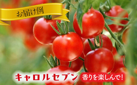 いろどりあざやか カラフルミニトマト 1.8kg　野菜 ミニトマト サラダ 愛西市/石原農園 [AEBG001]
