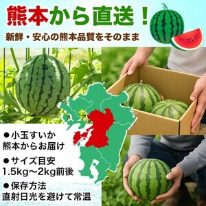 小玉すいか 1玉入り 3Lサイズ 約1.5kg以上(益城町)【1684315】