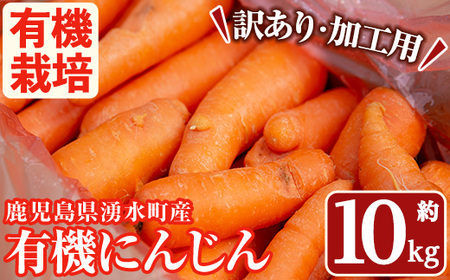 湧水町産有機にんじん10kg (訳あり) にんじん_y161