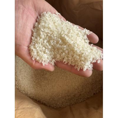 ふるさと納税 魚津市 環境保全米こしひかり　白米5kg【北アルプス早月川最上流の棚田米】 |  | 01